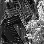 Black and white_0010.jpg